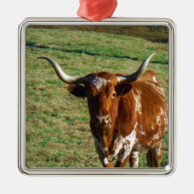 Texas Longhorn Cattle Cow  Photo Rustic Metal Ornament (Front)