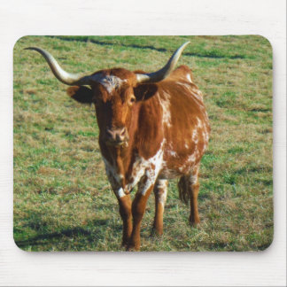 Texas Longhorn Cattle Cow Photo Rustic Mouse Pad