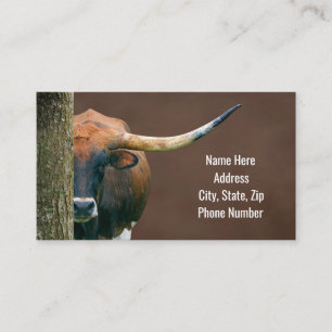 Texas Longhorn Cow Cartes de visite