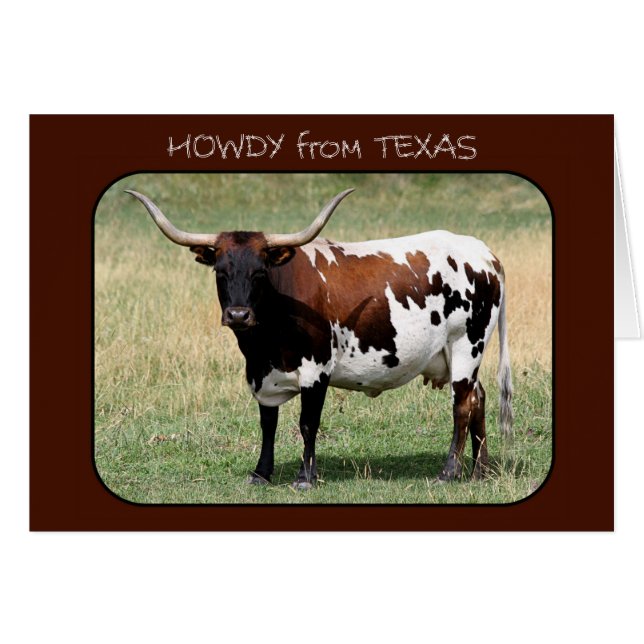 Texas Longhorn Cow Howdy du Texas (Devant horizontal)