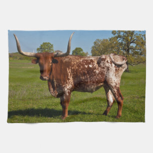 Texas Longhorn Kitchen Towel