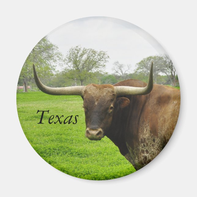 Texas Longhorn Magnet rond (Devant)