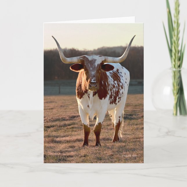 Texas Longhorn Note Card (Front)