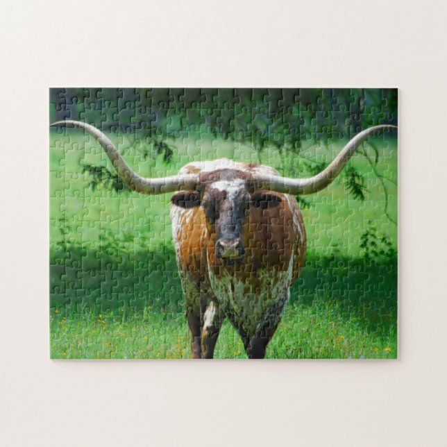 Texas Longhorn steer on western ranch Jigsaw Puzzle (Horizontal)