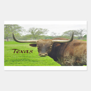 Texas Longhorn "Texas" Sticker