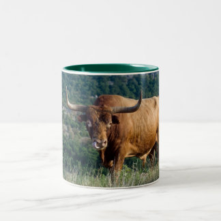 Texas Longhorn Two-Tone Coffee Mug