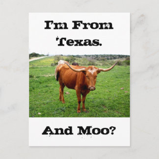 Texas Longhorn With Funny Texas Saying Postcard
