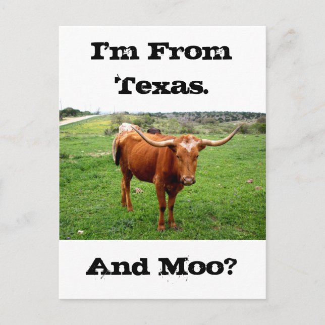 Texas Longhorn With Funny Texas Saying Postcard (Front)