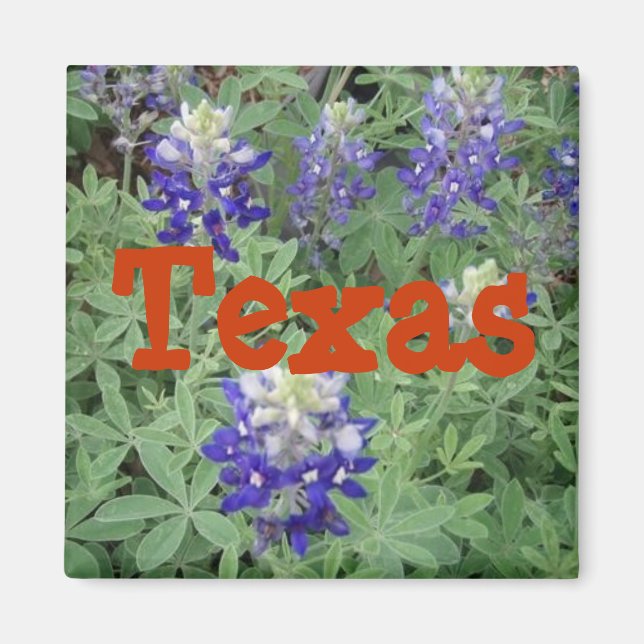 Texas Magnet (Devant)