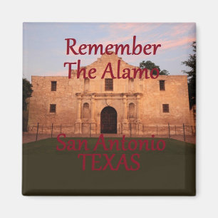 TEXAS MAGNET