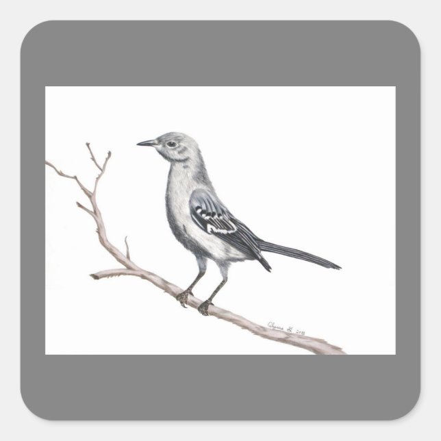 Texas Mockingbird Sticker (Front)
