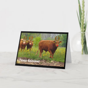Texas Reindeer Greeting Card
