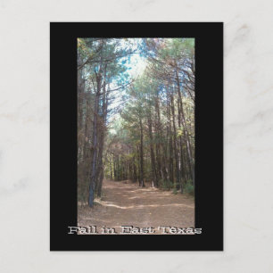 Texas Series Postcard