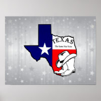 Texas silhouette on silver sparkles