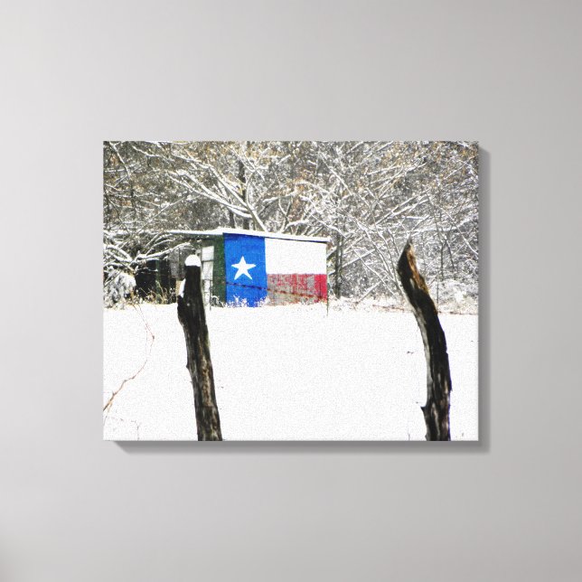 Texas Snow Canvas Print (Front)