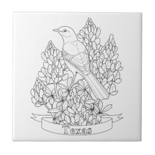 Texas State Bird & Flower Colouring Page Tile