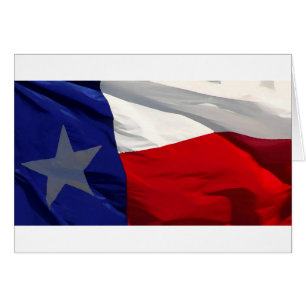 Texas State Flag