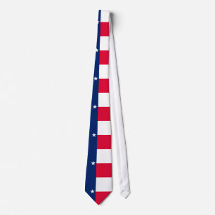 Texas State Flag Design Tie