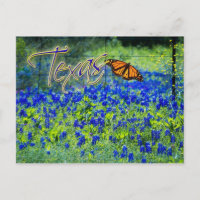 Texas State Flower - Bluebonnets