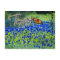 Texas State Flower - Bluebonnets