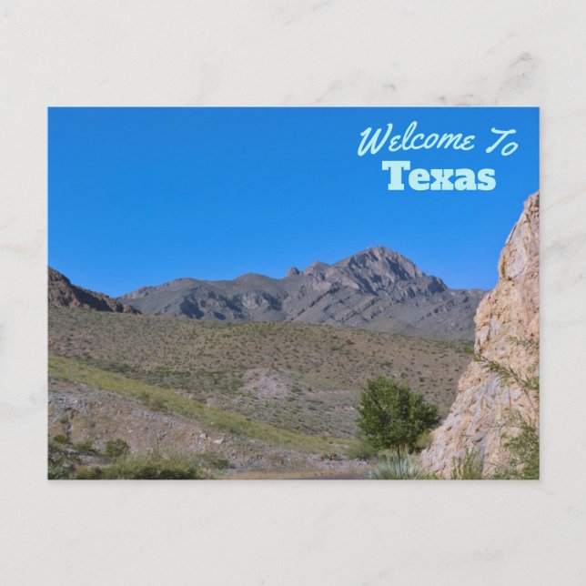 Texas State Postcard (Front)