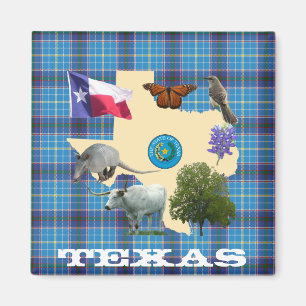 Texas State Symbols Magnet