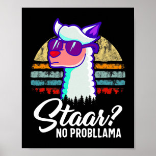 Texas State Test Day Llama Alpaca For Students Poster