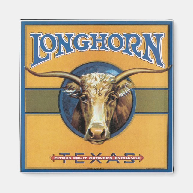 Texas Steer Longhorn Magnet (Front)