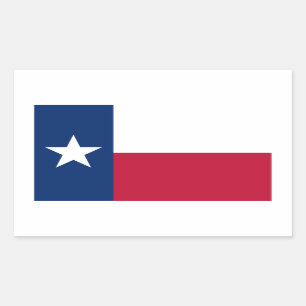 Texas Sticker