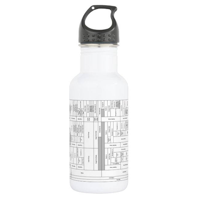 Texas Stratigraphic Chart Water Bottle (Front)
