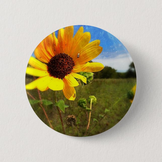 Texas Sunflowers by Jill 2 Inch Round Button (Front)