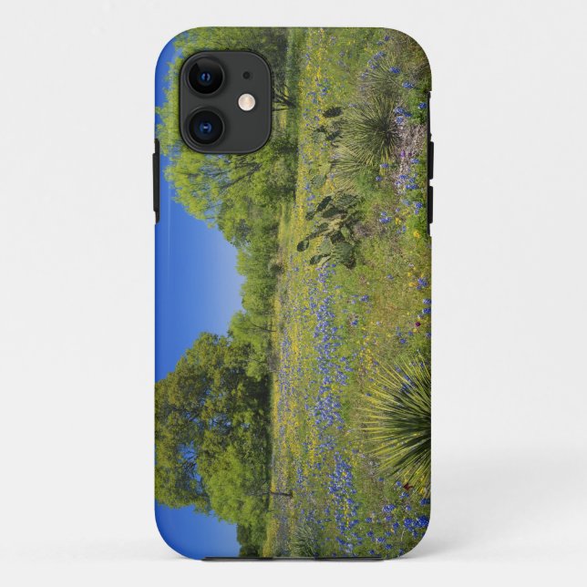 Texas, Texas Hill Country, Low bladderpod, Case-Mate iPhone Case (Back)