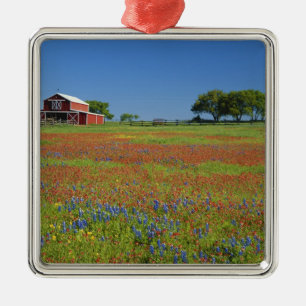 Texas, Texas Hill Country, Texas paintbrush Metal Ornament