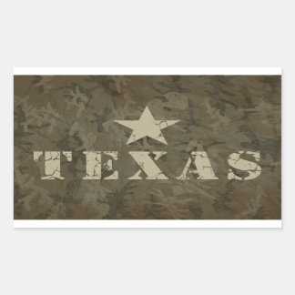 Texas, the Lone Star State Sticker
