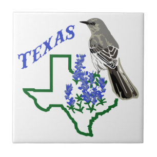 Texas Tile