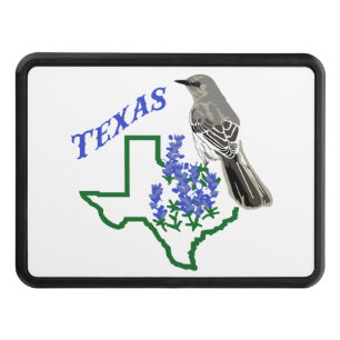 Texas Trailer Hitch Cover