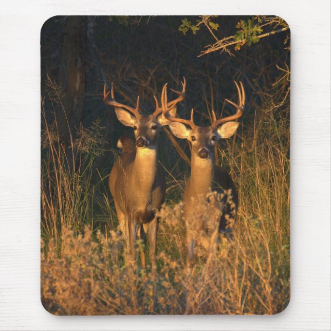 Texas Whitetails Mouse Pad (Front)
