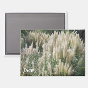 Texas Wild Flowers Magnet