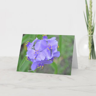 Texas Wildflowers Card