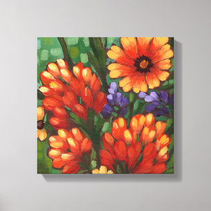 "Texas Wildflowers-Indian Paintbrush" Canvas Print