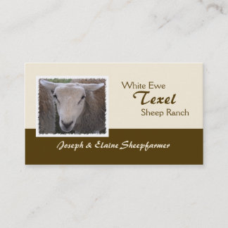 Texel Sheep business card