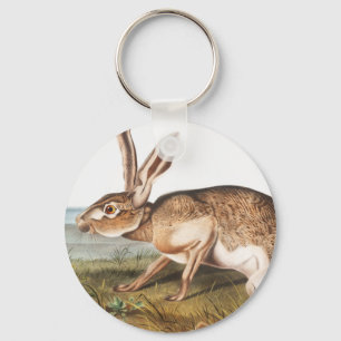 Texian Hare (Lepus Texianus) Rabbit Illustration Keychain