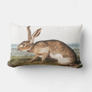 Texian Hare (Lepus Texianus) Rabbit Illustration Lumbar Pillow