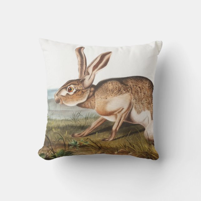 Texian Hare (Lepus Texianus) Rabbit Illustration Throw Pillow (Front)