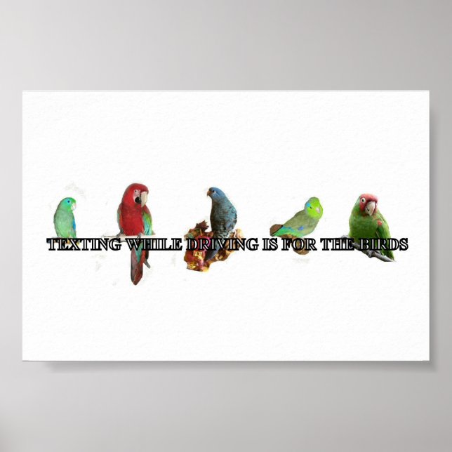 Texte pendant la conduite Poster (Devant)