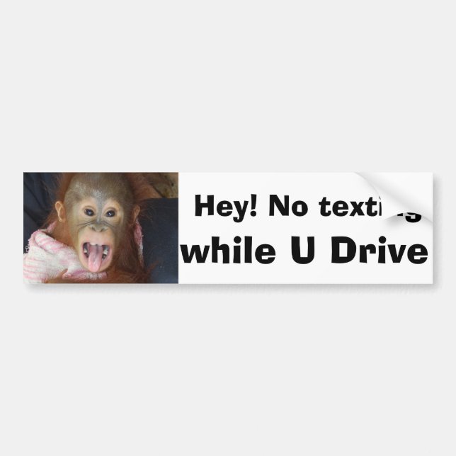 Texting While Driving Warning Sign Bumper Sticker (Front)