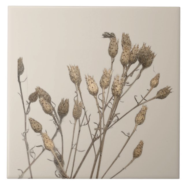 Textural Treasures of Winter on a Ceramic Tile - C (Front)