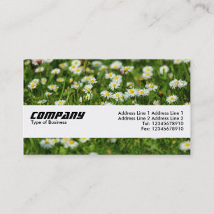 Texture Band - Daisy Meadow Business Card