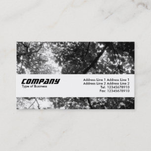 Texture Band - In the Trees Business Card