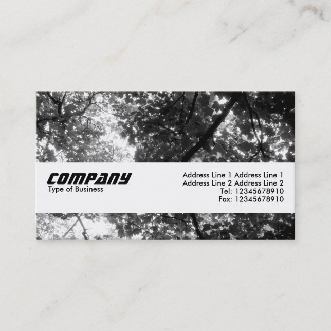 Texture Band - In the Trees Business Card (Front)